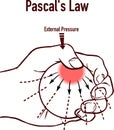 PascalÃ¢â¬â¢s Law infographic diagram vector illustration